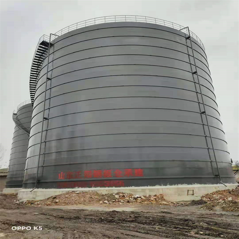 新县3万吨大型钢板库